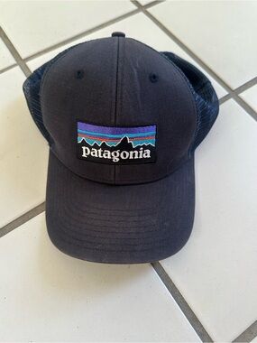 Patagonia Blue Cap with Purple and Teal Logo